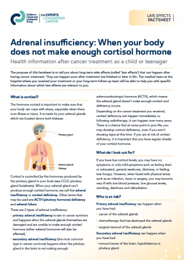 Front cover for factsheet - Adrenal insufficiency